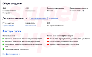 Данные о состоянии бизнеса Егора Козловского. Фото: Rusprofile