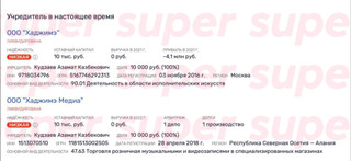 Данные о ликвидированных ООО, принадлежащих MiyaGi. Фото: rusprofile.ru