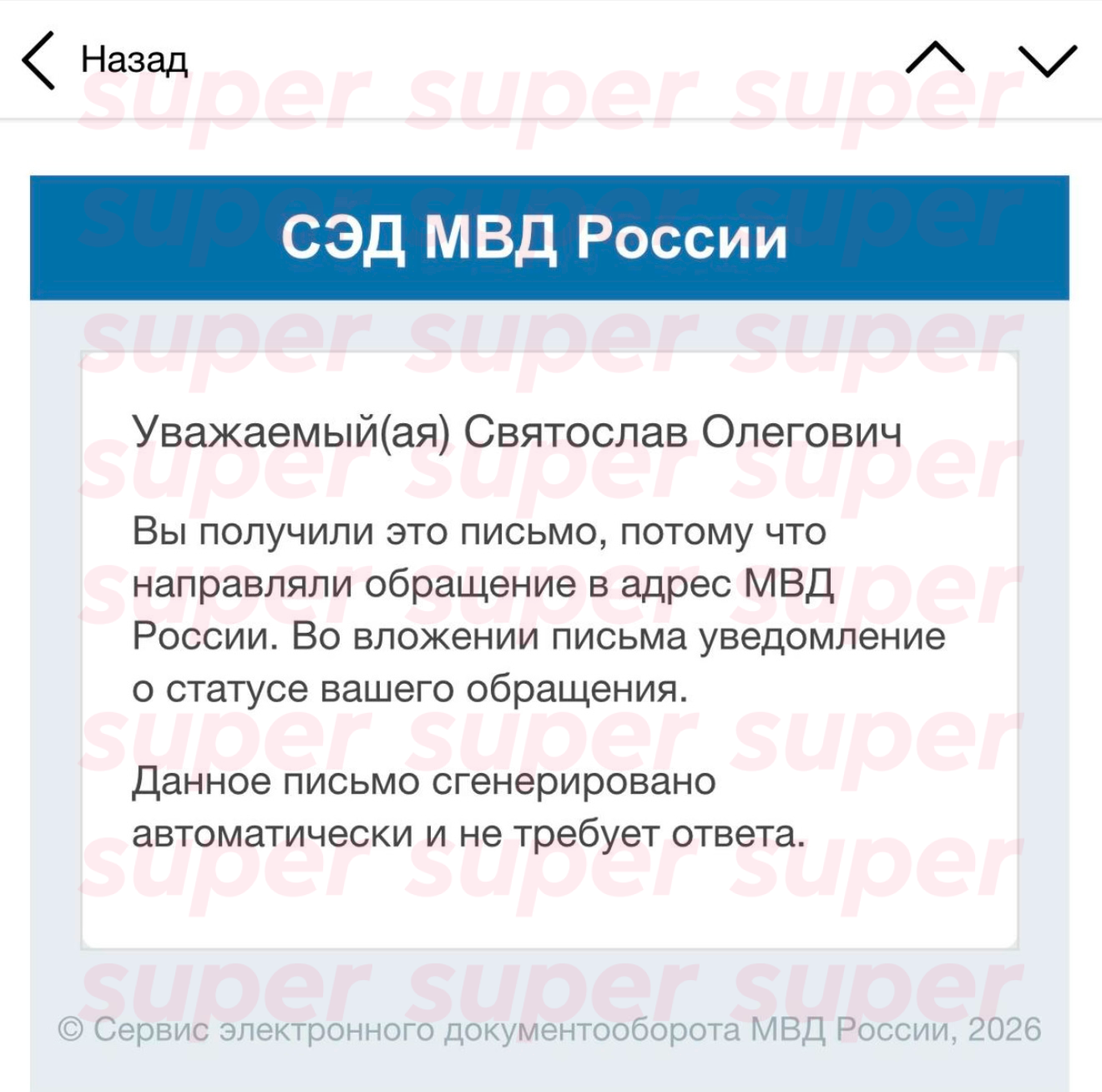 Скриншот, как утверждает Святослав Гусев, подтверждения отправки его электронного заявления в МВД на Диану Шурыгину. Фото: предоставлено героем материала